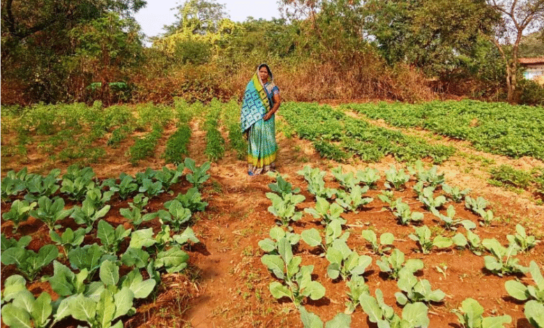 राष्ट्रीय ग्रामीण आजीविका मिशन ‘बिहान’ से बदली तकदीर, आत्मनिर्भरता की बनी मिसाल… राष्ट्रीय ग्रामीण आजीविका मिशन ‘बिहान’ से बदली तकदीर, आत्मनिर्भरता की बनी मिसाल…